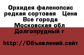 Орхидея фаленопсис редкая сортовая › Цена ­ 800 - Все города  »    . Московская обл.,Долгопрудный г.